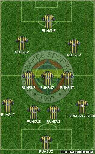 Fenerbahçe SK Formation 2013