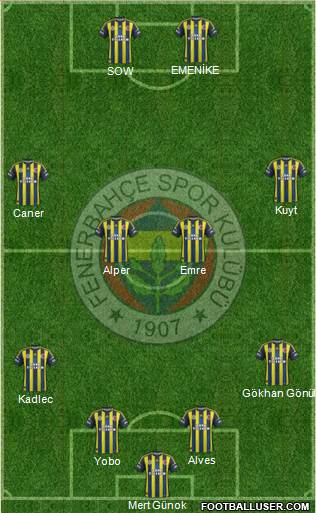 Fenerbahçe SK Formation 2013