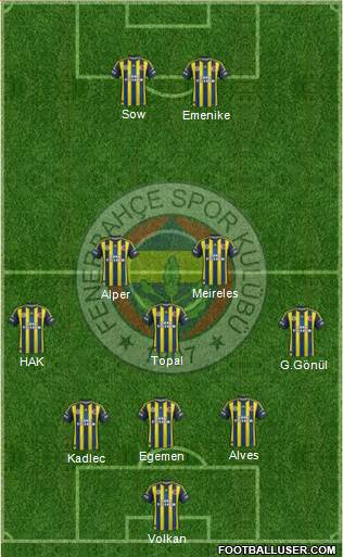 Fenerbahçe SK Formation 2013