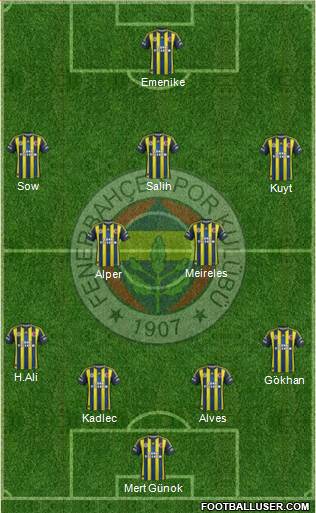 Fenerbahçe SK Formation 2013