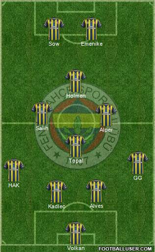 Fenerbahçe SK Formation 2013