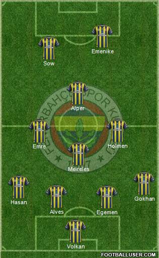 Fenerbahçe SK Formation 2013