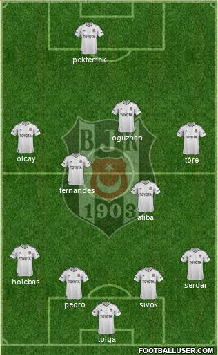 Besiktas JK Formation 2013