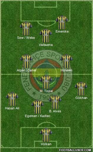 Fenerbahçe SK Formation 2013