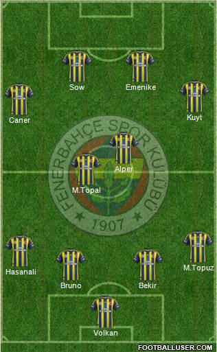 Fenerbahçe SK Formation 2013
