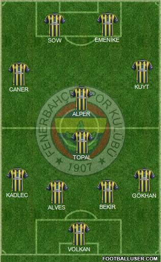 Fenerbahçe SK Formation 2013
