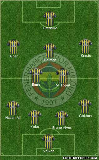 Fenerbahçe SK Formation 2013