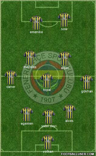 Fenerbahçe SK Formation 2013