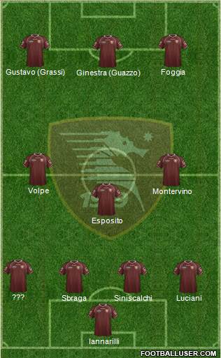 Salernitana Formation 2013