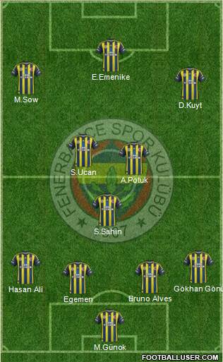Fenerbahçe SK Formation 2013