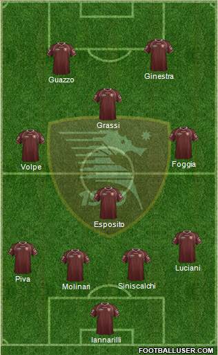 Salernitana Formation 2013