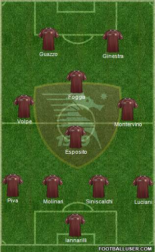 Salernitana Formation 2013