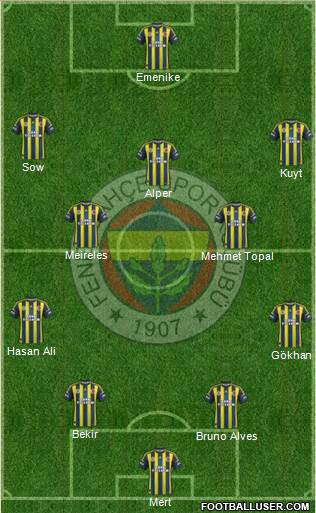 Fenerbahçe SK Formation 2013