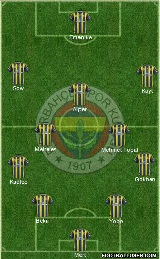 Fenerbahçe SK Formation 2013