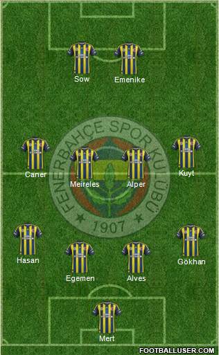 Fenerbahçe SK Formation 2013