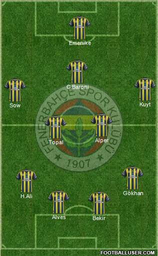 Fenerbahçe SK Formation 2013