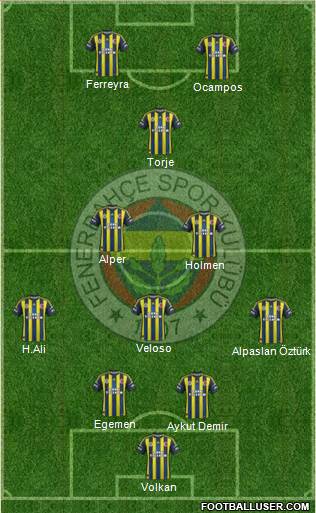 Fenerbahçe SK Formation 2013