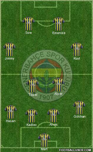 Fenerbahçe SK Formation 2013