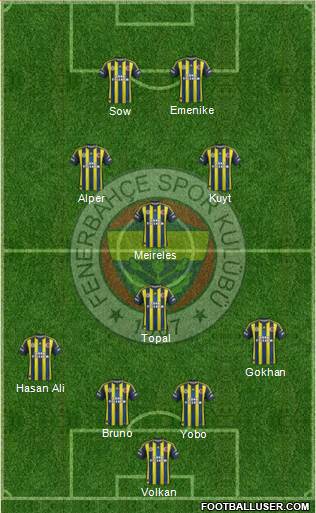 Fenerbahçe SK Formation 2013