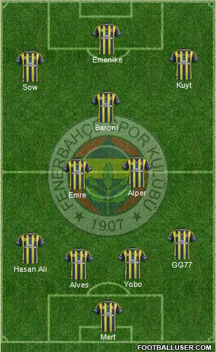 Fenerbahçe SK Formation 2013