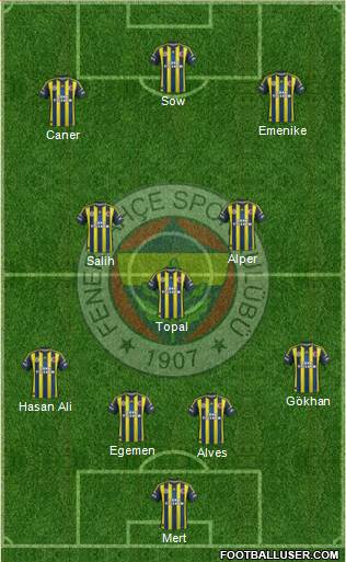 Fenerbahçe SK Formation 2013