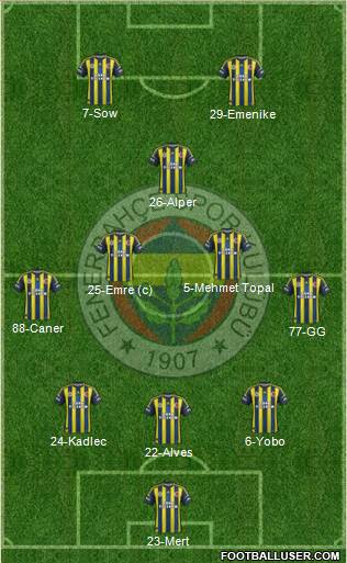 Fenerbahçe SK Formation 2013