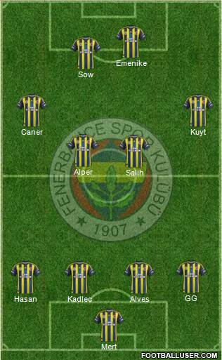 Fenerbahçe SK Formation 2013