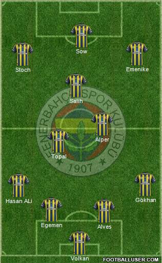 Fenerbahçe SK Formation 2013