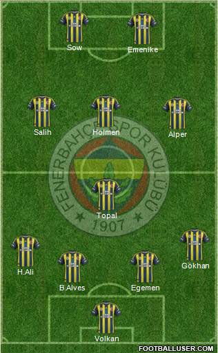 Fenerbahçe SK Formation 2013