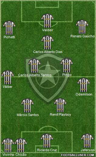 Botafogo FR Formation 2013