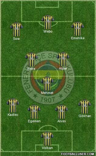 Fenerbahçe SK Formation 2013