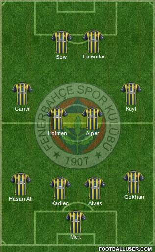 Fenerbahçe SK Formation 2013