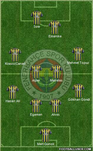 Fenerbahçe SK Formation 2013