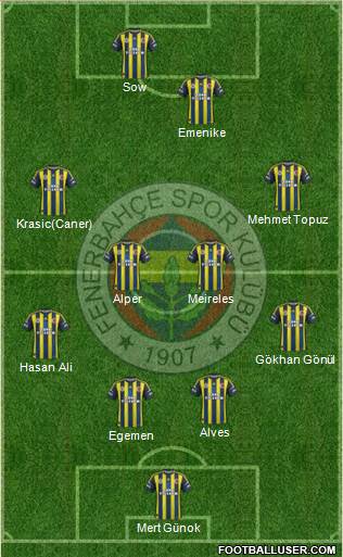 Fenerbahçe SK Formation 2013
