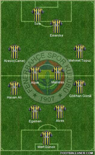 Fenerbahçe SK Formation 2013