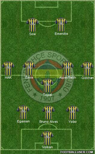 Fenerbahçe SK Formation 2013