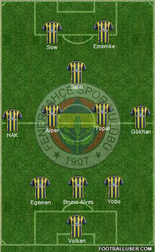 Fenerbahçe SK Formation 2013