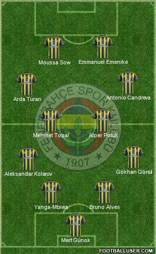 Fenerbahçe SK Formation 2013