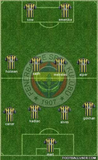 Fenerbahçe SK Formation 2013