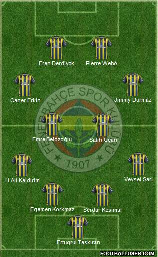 Fenerbahçe SK Formation 2013