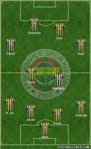 Fenerbahçe SK Formation 2013