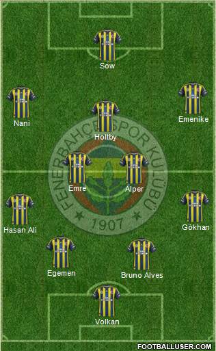 Fenerbahçe SK Formation 2013