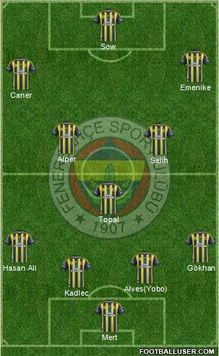 Fenerbahçe SK Formation 2013