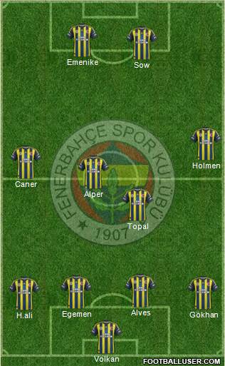 Fenerbahçe SK Formation 2013