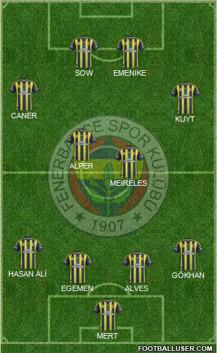 Fenerbahçe SK Formation 2013