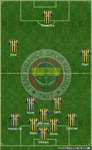 Fenerbahçe SK Formation 2013