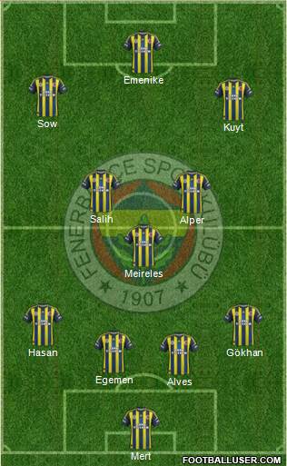 Fenerbahçe SK Formation 2013