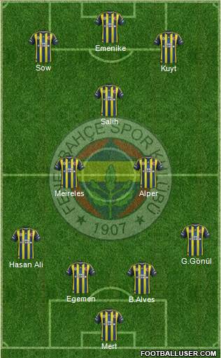 Fenerbahçe SK Formation 2013