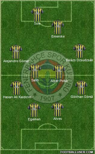 Fenerbahçe SK Formation 2013