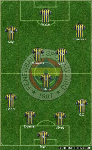 Fenerbahçe SK Formation 2013